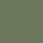 Moss Grey Window Shutter colour swatch - Moss Grey